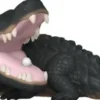 Alligator