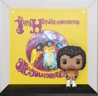 Are You Experienced