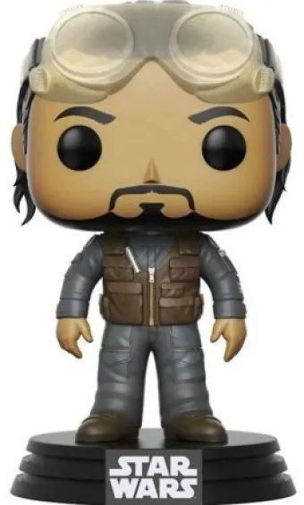Bodhi