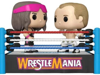 Bret "Hit Man" Hart & Shawn Michaels