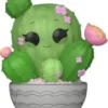 Cactus Barils