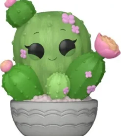 Cactus Barils