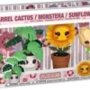 Cactus barils / Monstera / Tournesol / Tulipes - Pack
