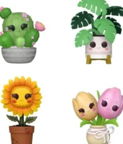 Cactus barils / Monstera / Tournesol / Tulipes - Pack