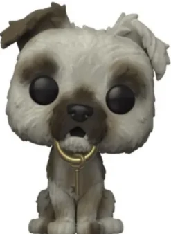 Chien Pirates des Caraïbes - Flocked