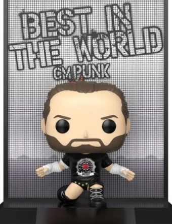 CM Punk