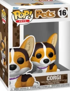 Corgi