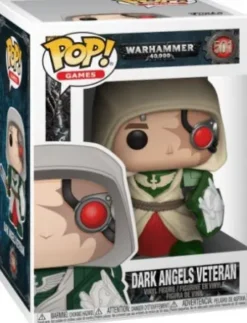 Dark Angels Veteran