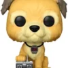 Einstein