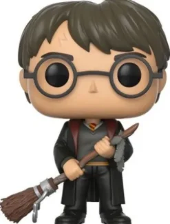 Harry Potter avec Eclair de Feu