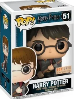 Harry Potter avec Eclair de Feu