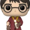 Harry Potter bras cassé