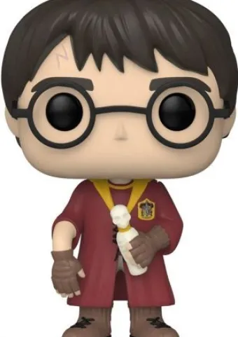 Harry Potter bras cassé