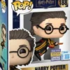 Harry Potter (Quidditch)