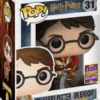Harry Potter sur son Balai