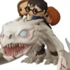 Harry, Ron et Hermione sur Dragon