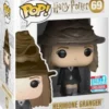 Hermione avec Choixpeau