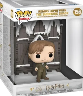 La Cabane hurlante avec Remus Lupin