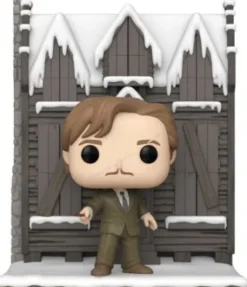 La Cabane hurlante avec Remus Lupin