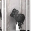 La Fille aux Ballons Volants - Art Cover