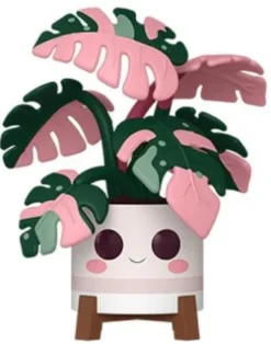 Monstera