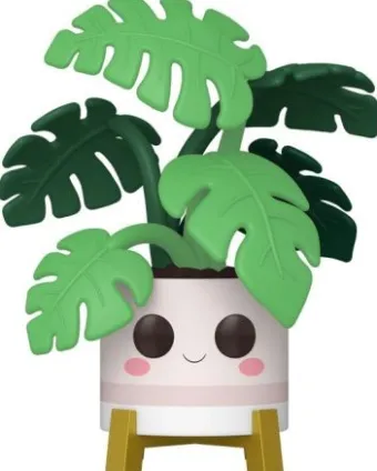 Monstera