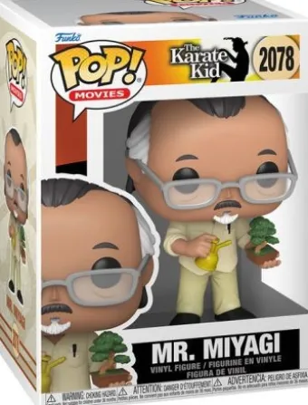 Mr. Miyagi