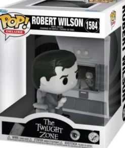Mr. Robert Wilson