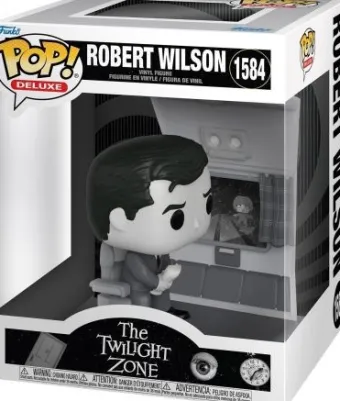 Mr. Robert Wilson