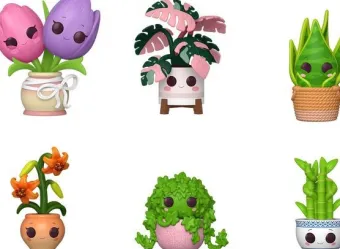 Pop Mystère - Pack 6
