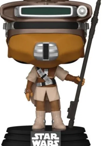 Princesse Leia (Déguisement Boushh)