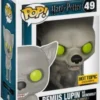 Remus Lupin en Loup-Garou