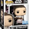 Rey Skywalker (Samouraï)