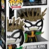 Robin Roi