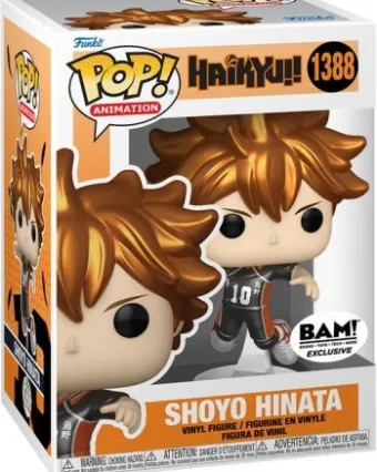 Shoyo Hinata - Métallique