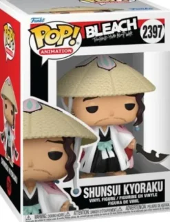 Shunsui Kyoraku