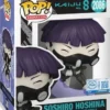 Soshiro Hoshina