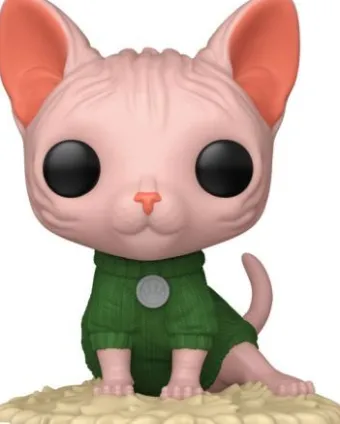 Sphynx