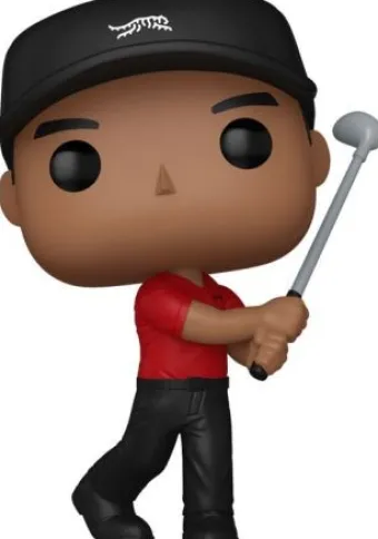 Tiger Wood