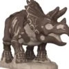 Triceratops (Fossile)