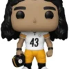 Troy Polamalu