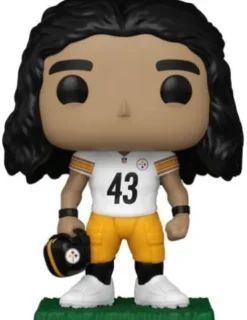 Troy Polamalu
