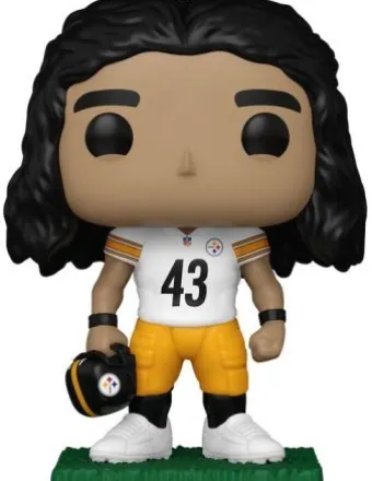 Troy Polamalu