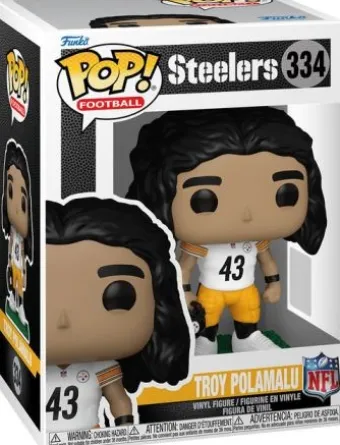 Troy Polamalu