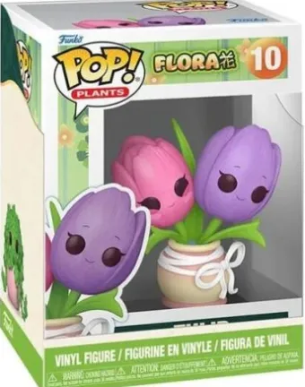 Tulipes