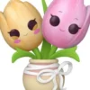 Tulipes