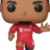 Virgil Van Dijk (Liverpool)