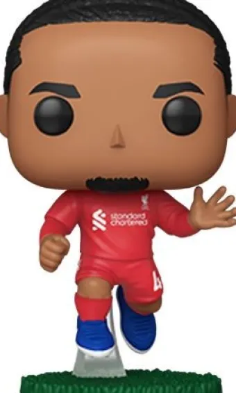 Virgil Van Dijk (Liverpool)