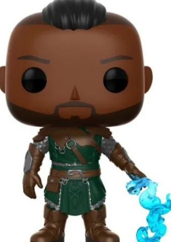 Warden