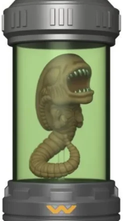 Xenomorph - Lumières et Son